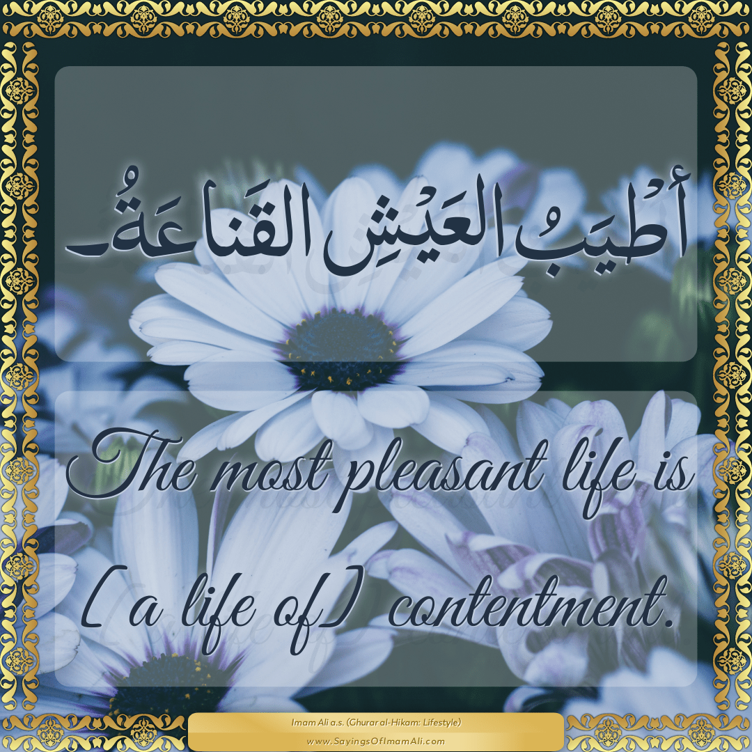 The most pleasant life is [a life of] contentment.